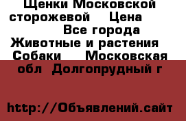 Щенки Московской сторожевой  › Цена ­ 25 000 - Все города Животные и растения » Собаки   . Московская обл.,Долгопрудный г.